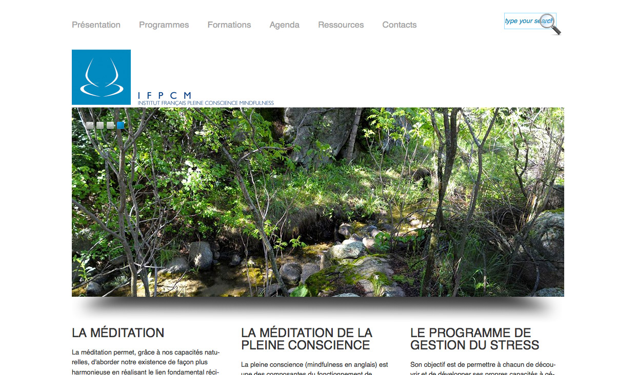 Page d'accueil du site www.ifpcm.fr